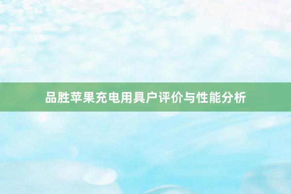 品胜苹果充电用具户评价与性能分析